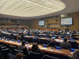 Chairman of the Forestry Committee of the Ministry of Environment, Vladimir Kirakosyan, is participating in the United Nations Forum on Forestry Issues