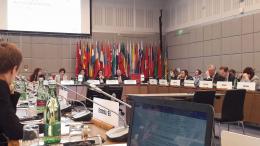 Նախարարի առաջին տեղակալ Է. Գրիգորյանը մասնակցել է ԵԱՀԿ «Բնապահպանական մարտահրավերների և անվտանգության շուրջ իրազեկման բարձրացում» խորագրով նիստին  