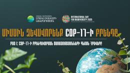Let’s Build the COP17 Brand Together