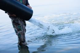 Սևանա լիճ է բաց թողնվել Սևանի իշխանի «Գեղարքունի» ենթատեսակի 437,000 հատ մանրաձուկ՝ 6.6 գրամ միջին զանգվածով