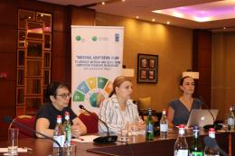 Within the framework of the UNDP program, the draft National Strategy for Communication and Information on Adaptation and a list of proposed activities were discussed