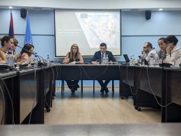 Deputy Minister of Environment Gayane Gabrielyan took part in a seminar on the "Climate budgeting" agenda