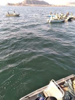 Հետևեք Շրջակա միջավայրի նախարարությանը ենթակա կառույցների իրադարձային լրահոսին շաբաթական պարբերականությամբ