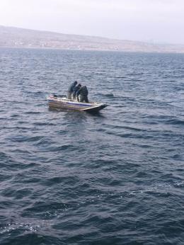 Measures to ban whitefish fishing in Lake Sevan are continuing
