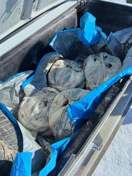 Վանաձորում կանխվել է 180 կգ սիգի ապօրինի տեղափոխումը