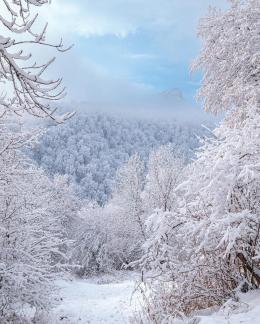 Եղանակը Հայաստանում