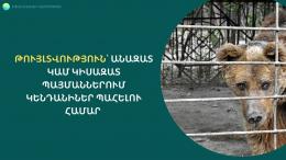 Օրենսդրական նոր կարգավորումների համաձայն՝ վայրի կենդանիներ անազատ կամ կիսազատ պայմաններում պահող իրավաբանական կամ ֆիզիկական անձինք պարտավոր են դիմել լիազոր մարմին