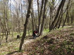 "Dilijan" National Park SNCO employees implemented a sabbatical