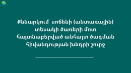 The Ministry of Environment organizes a discussion