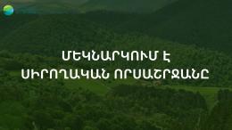 The Amateur Hunting Season is Starting in Armenia