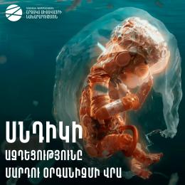 Սնդիկի ազդեցությունը մարդու օրգանիզմի վրա