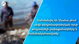 Սահմանվել են Սևանա լճում սիգի արդյունագործական որսի թույլատրելի չափաքանակները և ժամանակահատվածը