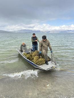 Սևանա լճից դուրս է բերվել ապօրինի տեղադրված 184 հատ խեցգետնաորսիչ