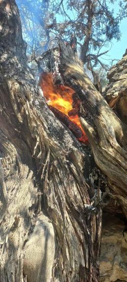 Fire in the Territory of “Khosrov Forest” State Reserve