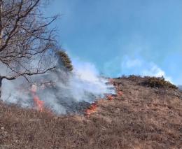 A Fire Broke Out in the Mountains Near the Communities of Aghavnavank, Tavush Region and Dzoravank, Gegharkunik Region