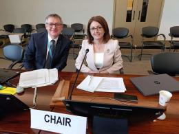 Gayane Shahnazaryan, Deputy Director of the "Hydrometeorology and Monitoring Center" SNCO of the Ministry of Environment of the RA, Was Elected the Chair of the UNECE Working Group on Environmental Monitoring and Assessment