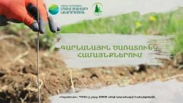 Համայնքների կանաչապատումը «Հայանտառ» ՊՈԱԿ-ի 2025-ի գարնան օրակարգում է
