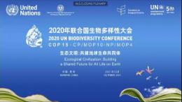 The 15th Conference of the Parties to the United Nations Convention on Biodiversity was held online in the Chinese city of Kunming