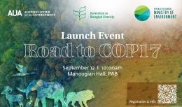 Launch Event of the "Road to COP17" Initiative
