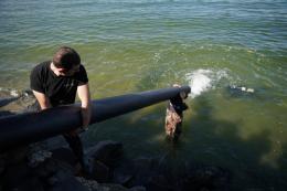 Սևանա լիճ բաց թողնվեց Սևանի Իշխանի «Գեղարքունի» ենթատեսակի թվով 324. 843 հատ մանրաձուկ