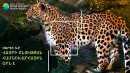 3-го марта во всем мире отмечается Всемирный день дикой природы /World Wildlife Day/.