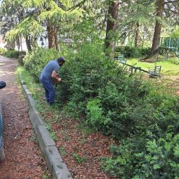 Բերդի «Սորաններ» դենդրոպարկում շարունակվում են գարնանային ստուգումներն ու աշխատանքները