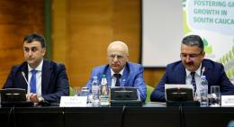Deputy Minister of Environment Aram Meimaryan participated in the meeting of the Steering Committee of the GEF regional program "Modernization of global forest monitoring in the Caucasus region”