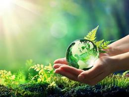 Marked World Environment Day