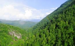 «ԴԻԼԻՋԱՆ» ԱԶԳԱՅԻՆ ՊԱՐԿՈՒՄ» ՍՊԱՍՎՈՒՄ ԵՆ ԽՍՏԱՑՈՒՄՆԵՐ     