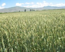 Բնության հատուկ պահպանվող տարածքներում սահմանվել է պահպանության խստացված ռեժիմ 