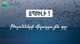 On April 1, International Migratory Bird Day was marked