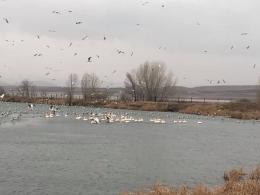 Representatives of the environmental community warn