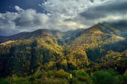 Crucial changes are planned in the forest sector