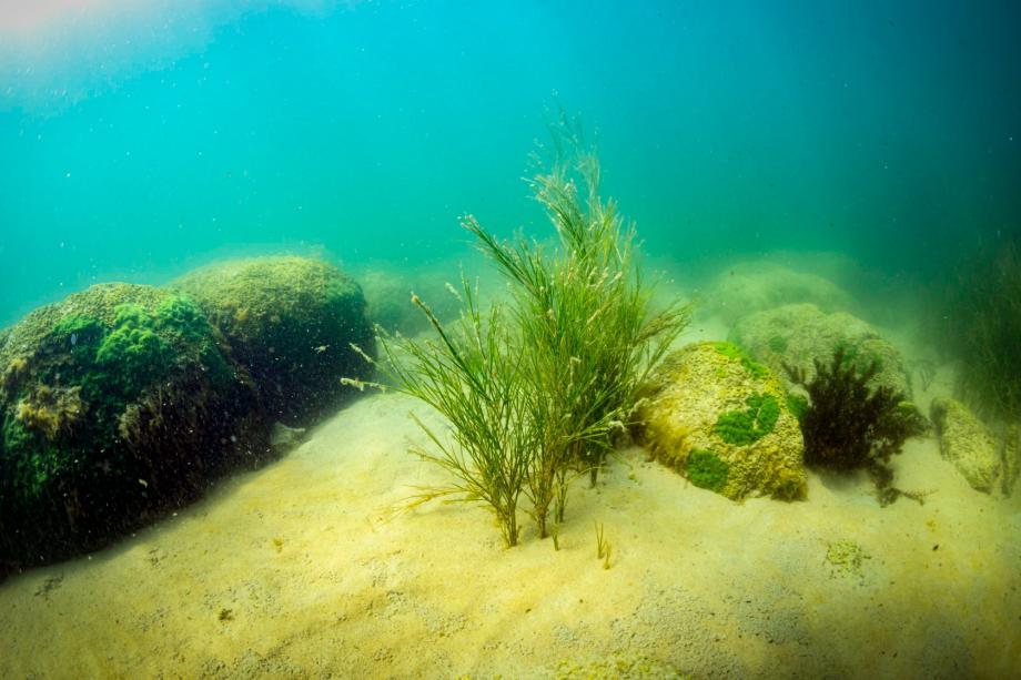 The floor of Lake Sevan