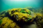 The floor of Lake Sevan