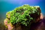 The floor of Lake Sevan