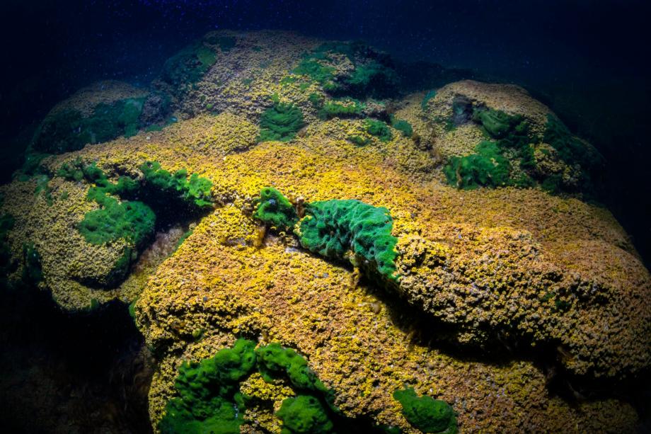 The floor of Lake Sevan