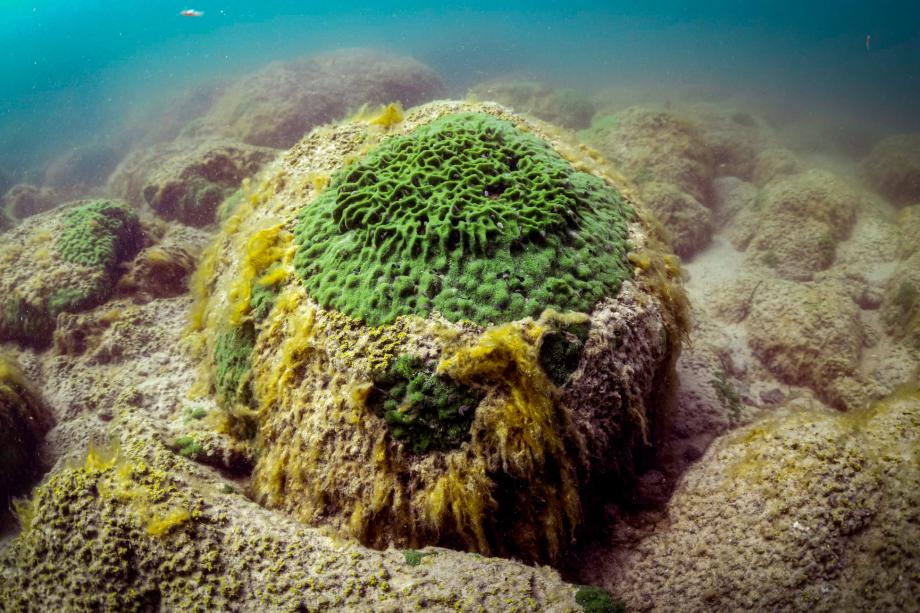 The floor of Lake Sevan