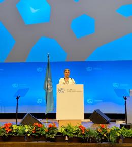 Տեղի է ունեցել «Երկարաժամկետ ցածր արտանետումներով զարգացման ռազմավարությունների տեսլականը գլոբալ գույքագրման առաջին փուլին ընդառաջ» Հայաստանի կողմից կազմակերպված միջոցառումը