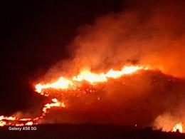 Խոտածածկ և բուսածածկ տարածքներում բռնկված հրդեհների վերաբերյալ ամփոփ տեղեկատվություն