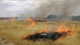 Firefighting operations continue in the territory of "Dilijan National Park"