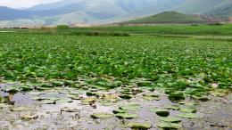 Կարմիր գրքում գրանցված տեսակի ոչնչացմանը նպաստող ցանկացած գործողություն ենթակա է վարչական տույժի