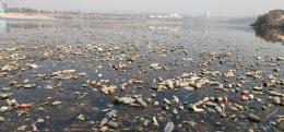 An alarm was received in social networks by environmentalists and citizens about the pollution of Yerevan Lake