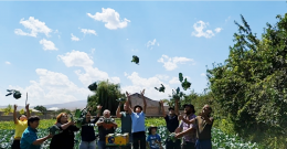 The program "Environmental Protection of Lake Sevan" promotes actions aimed at protecting the environment of Lake Sevan