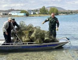 Սևանա լճից դուրս է բերվել 253 խեցգետնորսիչ, 229 կենդանի խեցգետին վերադարձվել է լիճ