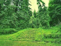 It will be defined strict control regime in specially protected areas of nature and in arboretums under "Reserve Park Complex" SNCO