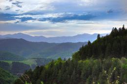 For the next 8 years, $ 18.7 million will be invested in Armenia to establish new forest areas