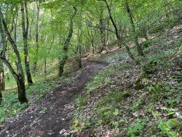 Summarizing “Support Program for Protected Areas-Armenia” (SPPA-A) project of the Ministry of Environment