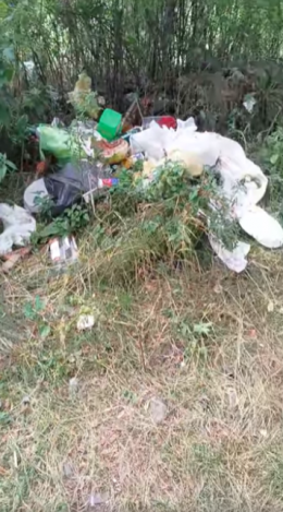 Received an alert about the pollution of the whole area in the vicinity of Trchkan waterfall, improper organization of garbage disposal