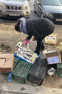 As part of the enhanced control measures due to the whitefish spawning period, more than 300 kg of whitefish sold on the streets of Yerevan were confiscated